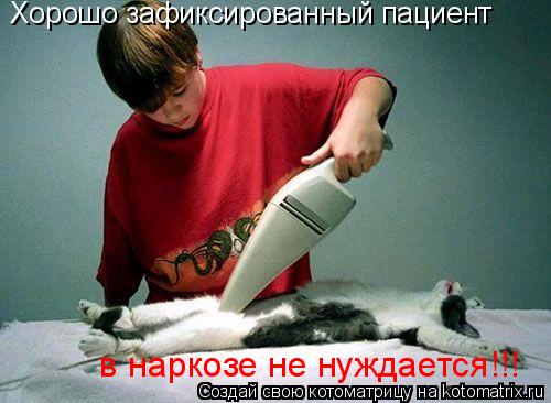 Хорошо зафиксированный пациент в наркозе не нуждается!!!... Котоматрица: Хорошо зафиксированный пациент в наркозе не нуждается!!!