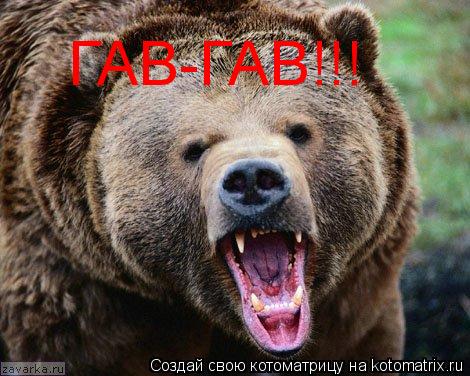ГАВ-ГАВ!!!... Котоматрица: ГАВ-ГАВ!!!
