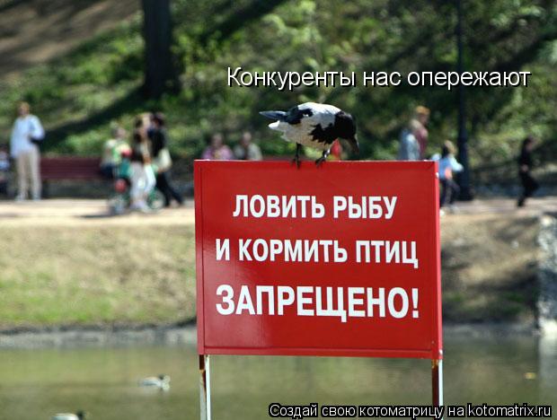 Конкуренты нас опережают... Котоматрица: Конкуренты нас опережают