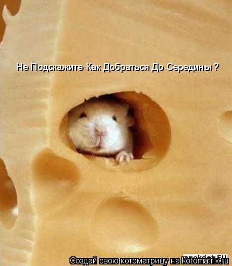 Не Подскажите Как Добраться До Середины ?... Котоматрица: Не Подскажите Как Добраться До Середины ?
