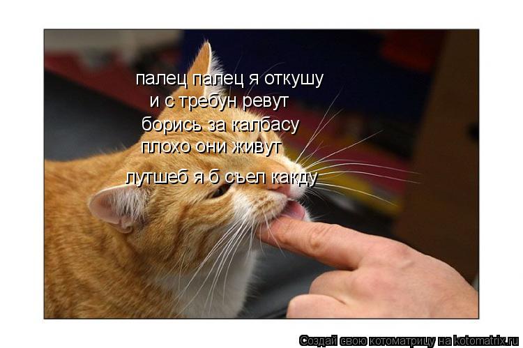 палец палец я откушу и с требун ревут борись за калбасу плохо они живут лутшеб я б съел какду... Котоматрица: палец палец я откушу и с требун ревут борись за калбасу плохо они живут лутшеб я б съел какду