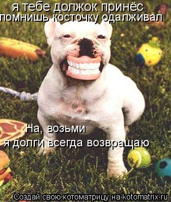 я тебе должок принёс помнишь косточку одалживал На, возьми я долги всегда возвращаю... Котоматрица: я тебе должок принёс помнишь косточку одалживал На, возьми я долги всегда возвращаю