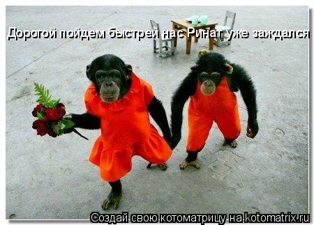 Дорогой пойдем быстрей нас Ринат уже заждался... Котоматрица: Дорогой пойдем быстрей нас Ринат уже заждался