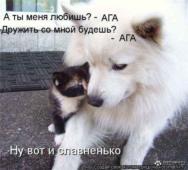 А ты меня любишь? - АГА Дружить со мной будешь? - АГА Ну вот и славненько... Котоматрица: А ты меня любишь? - АГА Дружить со мной будешь? - АГА Ну вот и славненько