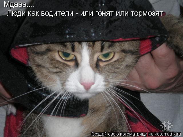 Мдааа...... Люди как водители - или гонят или тормозят.... Котоматрица: Мдааа...... Люди как водители - или гонят или тормозят.