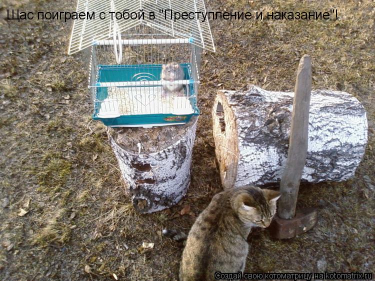 Щас поиграем с тобой в "Преступление и наказание"!... Котоматрица: Щас поиграем с тобой в "Преступление и наказание"!