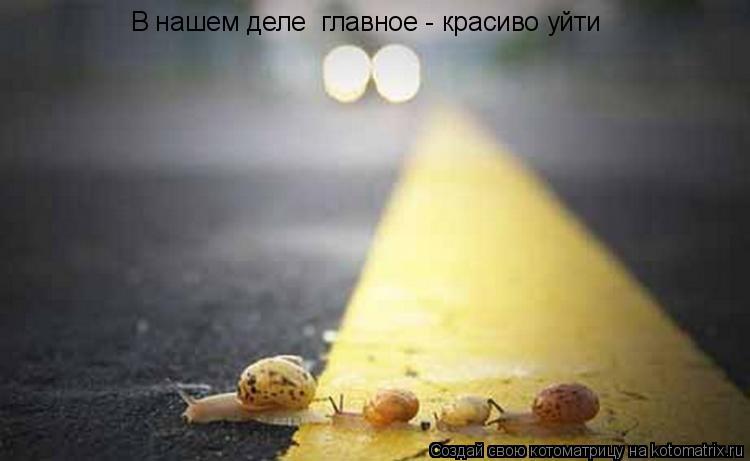 В нашем деле главное - красиво уйти... Котоматрица: В нашем деле главное - красиво уйти