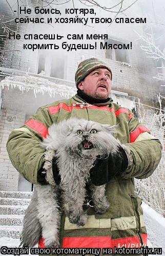 - Не боись, котяра, сейчас и хозяйку твою спасем - Не спасешь- сам меня кормить будешь! Мясом!... Котоматрица: - Не боись, котяра, сейчас и хозяйку твою спасем - Не спасешь- сам меня кормить будешь! Мясом!