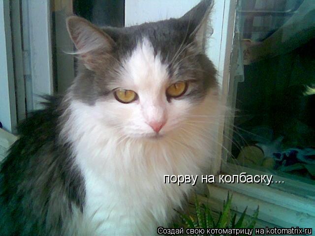 порву на колбаску....... Котоматрица: порву на колбаску....