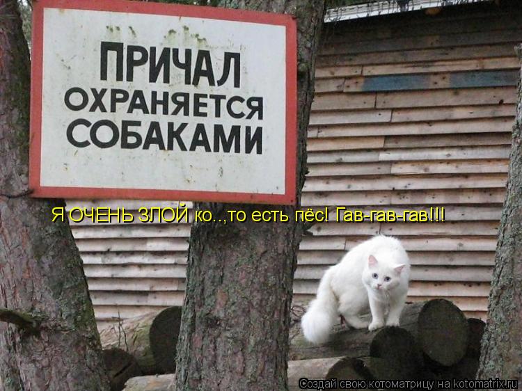 Я ОЧЕНЬ ЗЛОЙ ко..,то есть пёс! Гав-гав-гав!!!... Котоматрица: Я ОЧЕНЬ ЗЛОЙ ко..,то есть пёс! Гав-гав-гав!!!