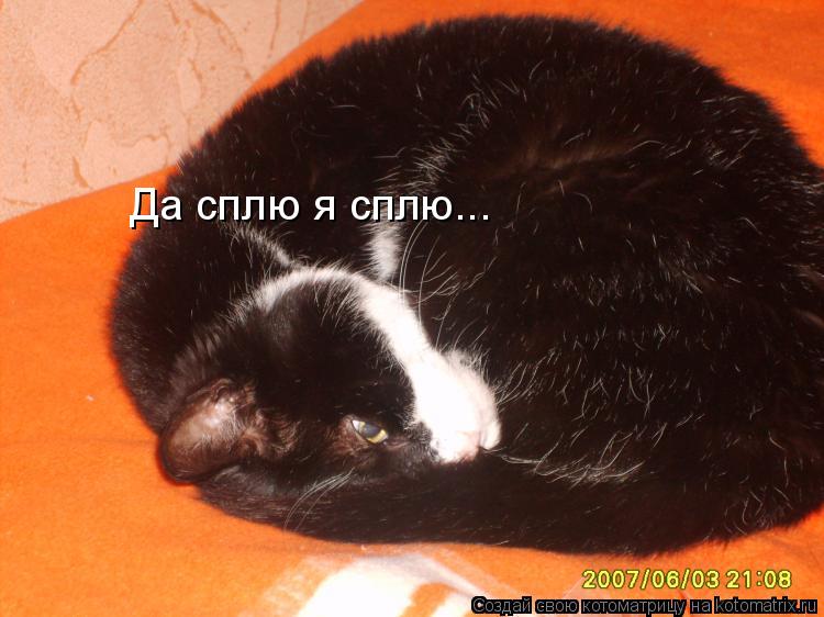 Да сплю я сплю...... Котоматрица: Да сплю я сплю...