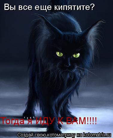 Вы все еще кипятите? Тогда я ИДУ К ВАМ!!!!... Котоматрица: Вы все еще кипятите? Тогда я ИДУ К ВАМ!!!!
