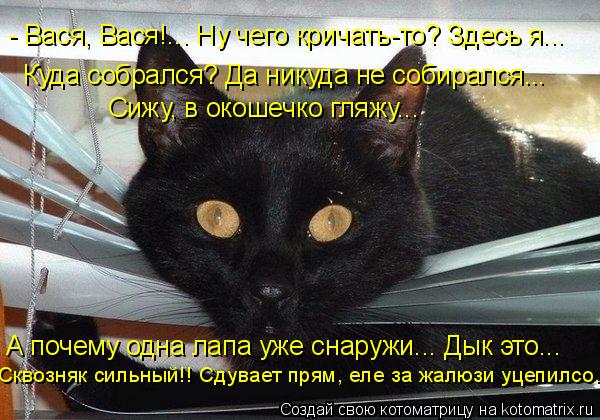 - Вася, Вася!... Ну чего кричать-то? Здесь я... Куда собрался? Да никуда не собирался... Сижу, в окош... Котоматрица: - Вася, Вася!... Ну чего кричать-то? Здесь я... Куда собрался? Да никуда не собирался... Сижу, в окошечко гляжу... А почему одна лапа уже снаружи... Д