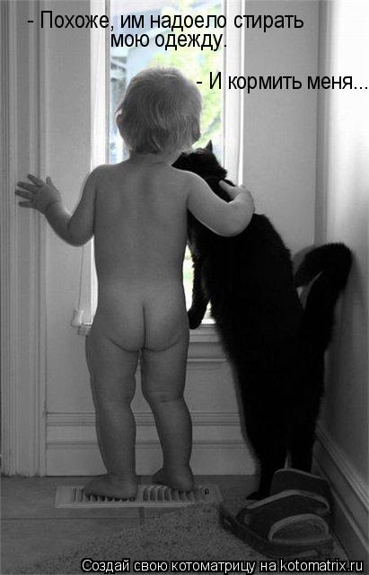 - Похоже, им надоело стирать мою одежду. - И кормить меня...... Котоматрица: - Похоже, им надоело стирать мою одежду. - И кормить меня...