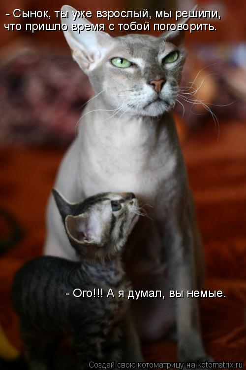 - Сынок, ты уже взрослый, мы решили, что пришло время с тобой поговорить. - Ого!!! А я думал, вы нем... Котоматрица: - Сынок, ты уже взрослый, мы решили, что пришло время с тобой поговорить. - Ого!!! А я думал, вы немые.