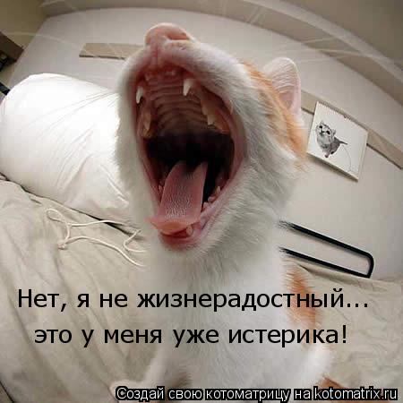 Нет, я не жизнерадостный... это у меня уже истерика!... Котоматрица: Нет, я не жизнерадостный... это у меня уже истерика!