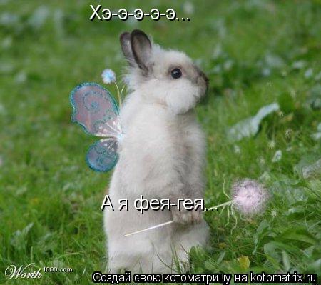 Хэ-э-э-э-э... А я фея-гея...... Котоматрица: Хэ-э-э-э-э... А я фея-гея...