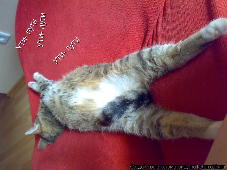 Ути- пути Ути- пути Ути- пути Ути- пути Ути- пути... Котоматрица: Ути- пути Ути- пути Ути- пути Ути- пути Ути- пути