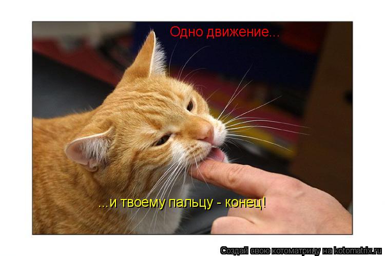 Одно движение... ...и твоему пальцу - конец!... Котоматрица: Одно движение... ...и твоему пальцу - конец!