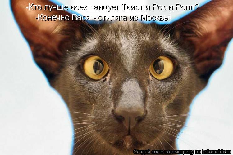 -Кто лучше всех танцует Твист и Рок-н-Ролл? -Конечно Вася - стиляга из Москвы!... Котоматрица: -Кто лучше всех танцует Твист и Рок-н-Ролл? -Конечно Вася - стиляга из Москвы!