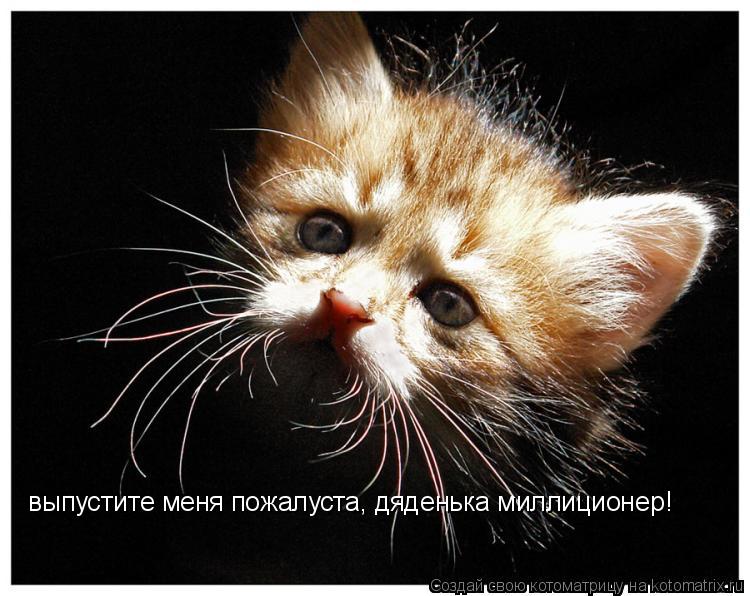 выпустите меня пожалуста, дяденька миллиционер!... Котоматрица: выпустите меня пожалуста, дяденька миллиционер!