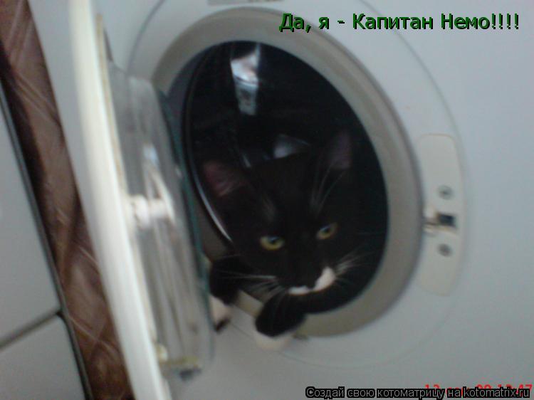 Да, я - Капитан Немо!!!!... Котоматрица: Да, я - Капитан Немо!!!!