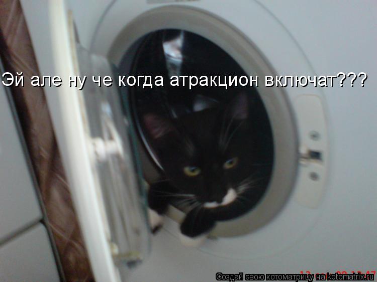 Эй але ну че когда атракцион включат???... Котоматрица: Эй але ну че когда атракцион включат???