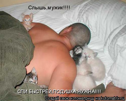 Слышь,мужик!!!! СПИ БЫСТРЕЙ,ПОДУШКА НУЖНА!!!!... Котоматрица: Слышь,мужик!!!! СПИ БЫСТРЕЙ,ПОДУШКА НУЖНА!!!!
