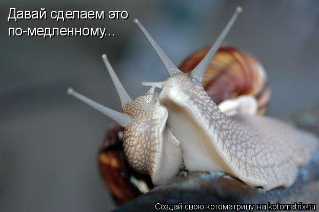 Давай сделаем это по-медленному...... Котоматрица: Давай сделаем это по-медленному...