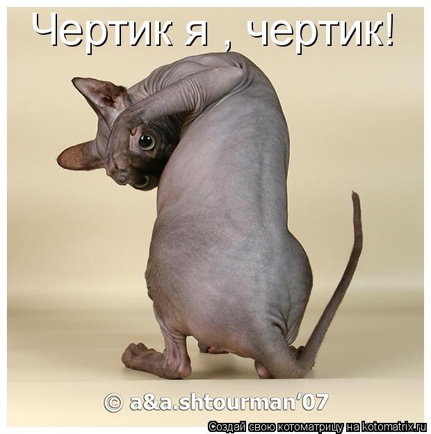 Чертик я , чертик!... Котоматрица: Чертик я , чертик!