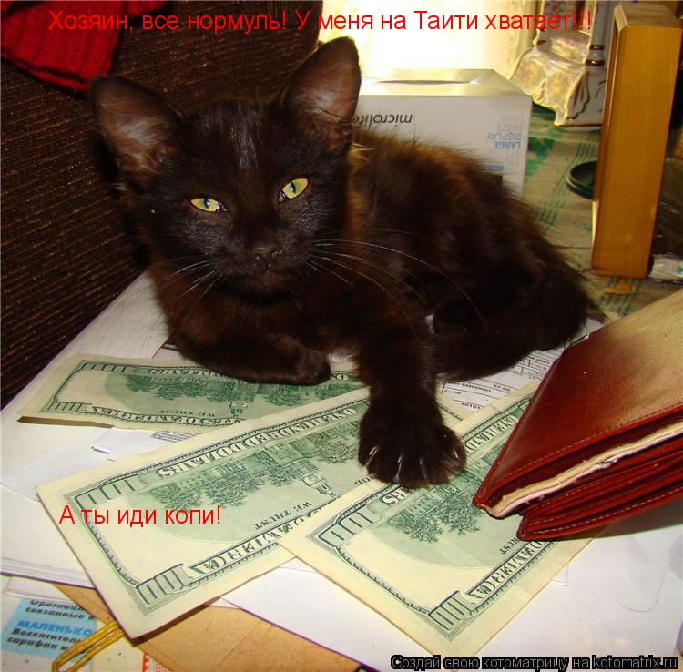 Хозяин, все нормуль! У меня на Таити хватает!!! А ты иди копи!... Котоматрица: Хозяин, все нормуль! У меня на Таити хватает!!! А ты иди копи!