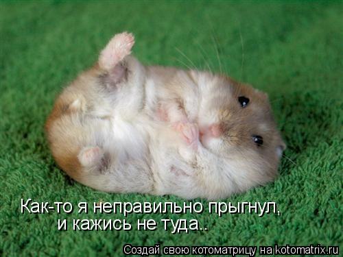 Котоматрица: Как-то я неправильно прыгнул, и кажись не туда..