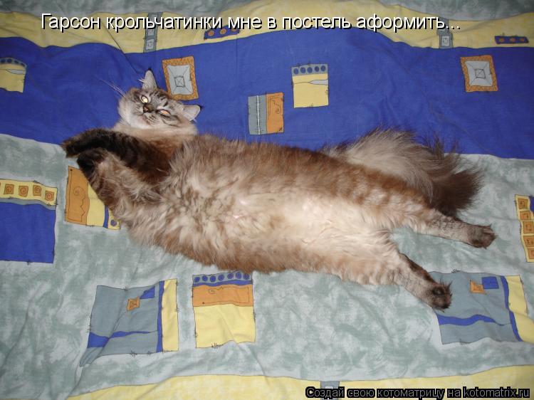 Котоматрица: Гарсон крольчатинки мне в постель аформить...