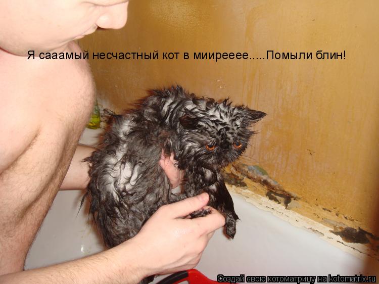 Я сааамый несчастный кот в миирееее.....Помыли блин!... Котоматрица: Я сааамый несчастный кот в миирееее.....Помыли блин!