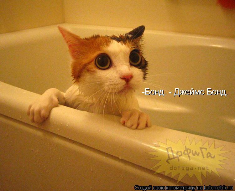 Котоматрица: -Бонд. - Джеймс Бонд.