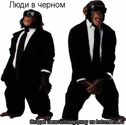 Люди в черном... Котоматрица: Люди в черном