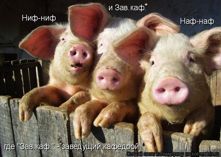 Ниф-ниф Наф-наф и Зав.каф. где "Зав.каф." - заведущий кафедрой *... Котоматрица: Ниф-ниф Наф-наф и Зав.каф. где "Зав.каф." - заведущий кафедрой *