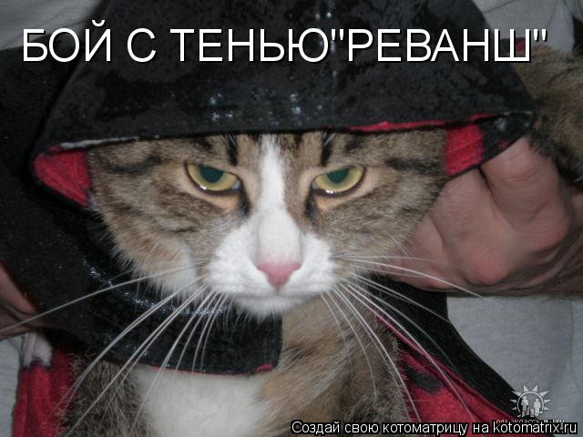 БОЙ С ТЕНЬЮ"РЕВАНШ"... Котоматрица: БОЙ С ТЕНЬЮ"РЕВАНШ"