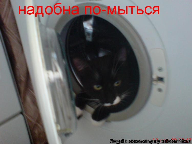 надобна по-мыться... Котоматрица: надобна по-мыться