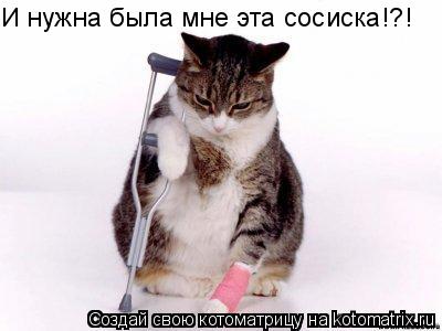 И нужна была мне эта сосиска!?!... Котоматрица: И нужна была мне эта сосиска!?!