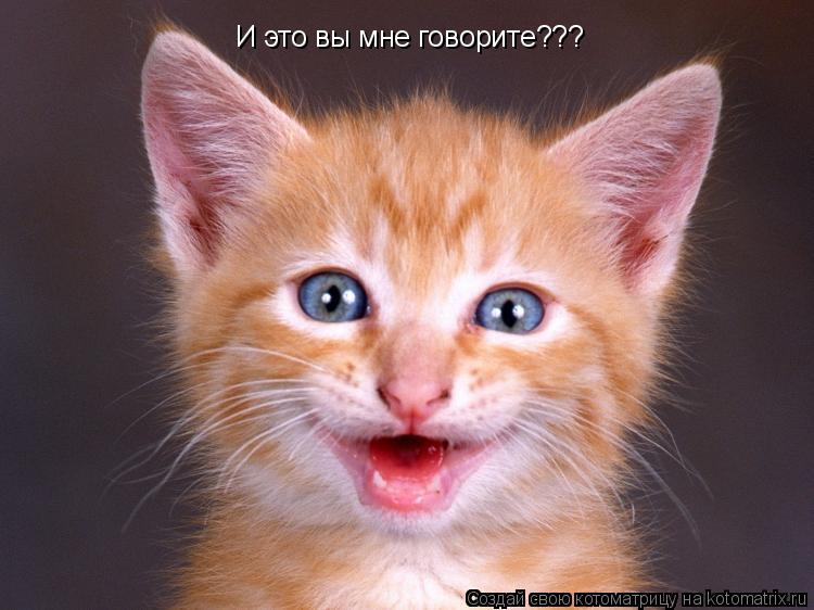 И это вы мне говорите???... Котоматрица: И это вы мне говорите???
