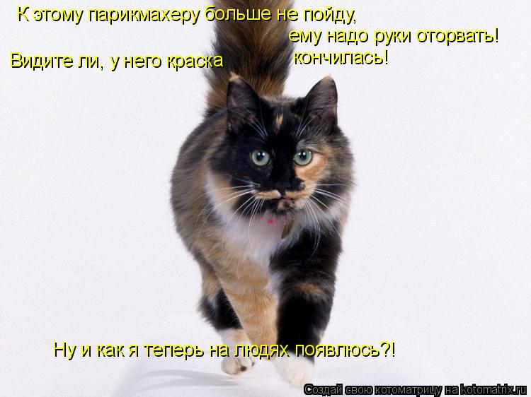 К этому парикмахеру больше не пойду, ему надо руки оторвать! Видите ли, у него краска кончилась! ... Котоматрица: К этому парикмахеру больше не пойду, ему надо руки оторвать! Видите ли, у него краска кончилась! Ну и как я теперь на людях появлюсь?!