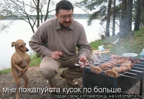 Котоматрица: мне пожалуйста кусок по больше...