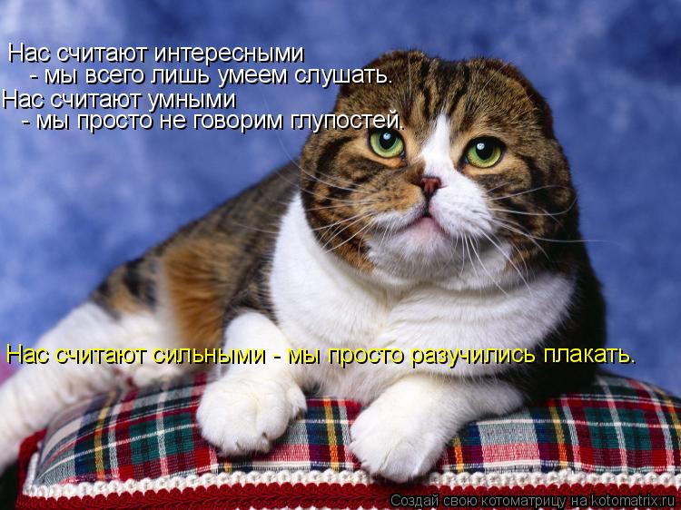 Котоматрица: Нас считают интересными   - мы всего лишь умеем слушать. Нас считают умными  - мы просто не говорим глупостей. Нас считают сильными - мы просто