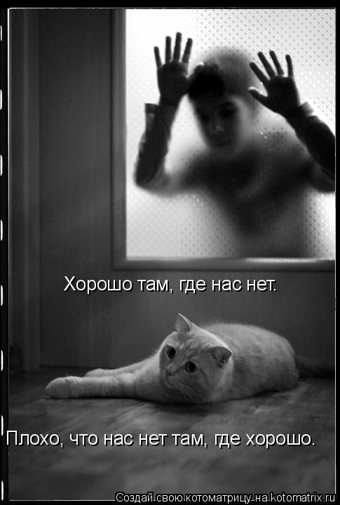 Хорошо там, где нас нет. Плохо, что нас нет там, где хорошо.... Котоматрица: Хорошо там, где нас нет. Плохо, что нас нет там, где хорошо.