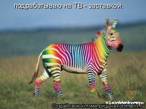 подрабатываю на ТВ - заставкой.... Котоматрица: подрабатываю на ТВ - заставкой.