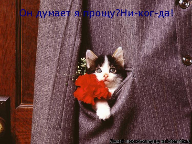 Котоматрица: Он думает я прощу?Ни-ког-да!