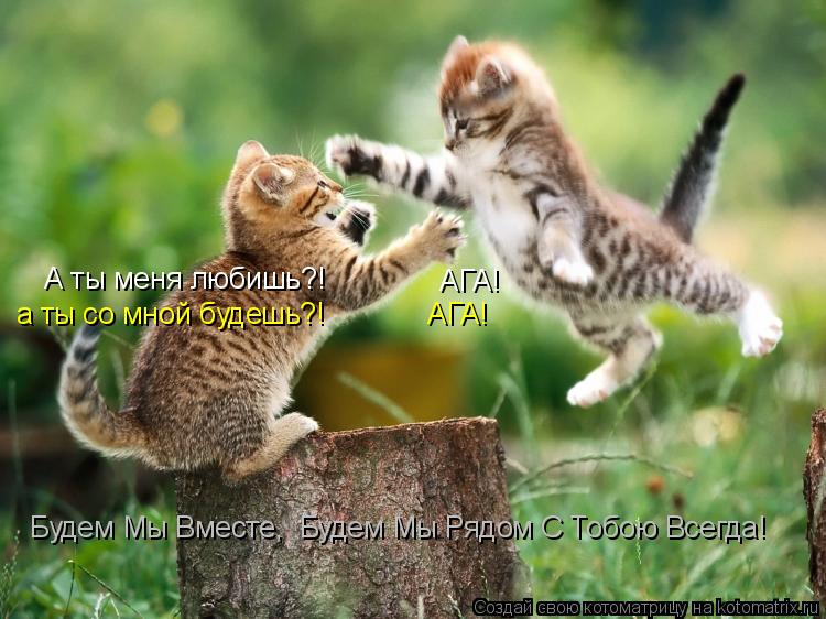 А ты меня любишь?! АГА! а ты со мной будешь?! АГА! Будем Мы Вместе, Будем Мы Рядом С Тобою Всегда!... Котоматрица: А ты меня любишь?! АГА! а ты со мной будешь?! АГА! Будем Мы Вместе, Будем Мы Рядом С Тобою Всегда!