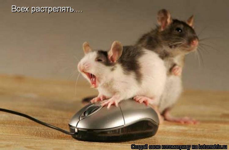 Котоматрица: Всех растрелять....