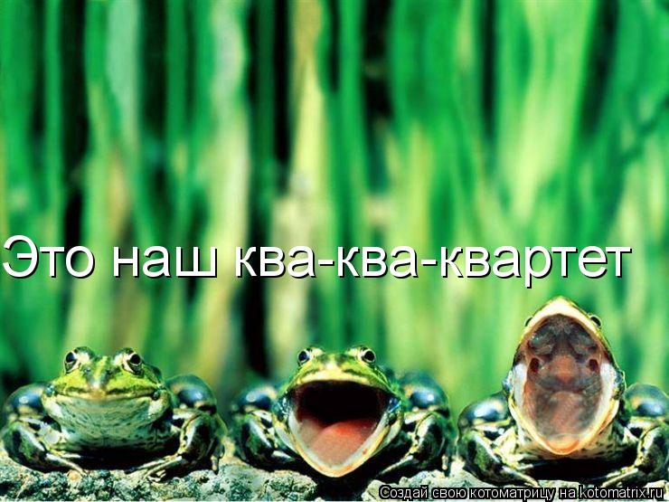 Это наш ква-ква-квартет... Котоматрица: Это наш ква-ква-квартет